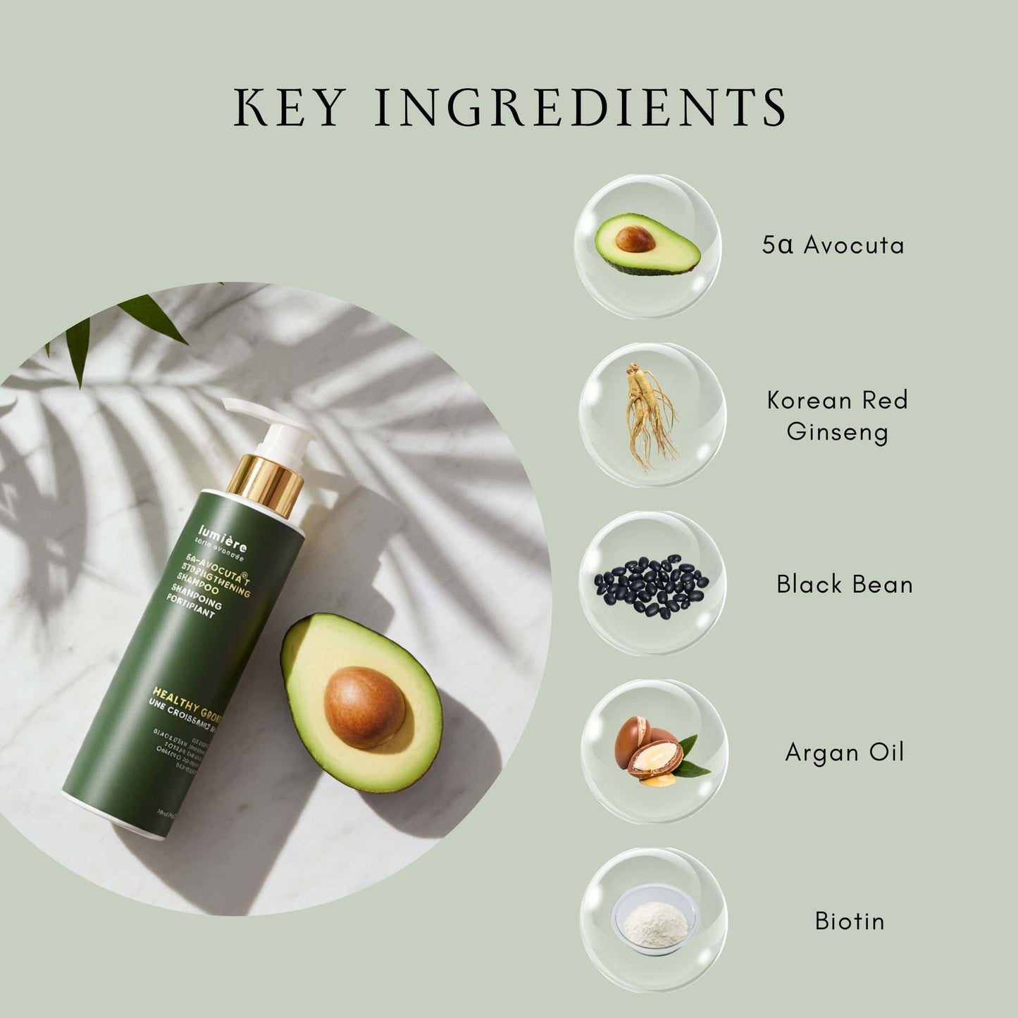 Lumiere 5α-Avocuta T Strengthening Shampoo